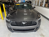 Used 2017 Ford Mustang Premium image 2