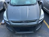 Used 2015 Ford Escape Titanium image 2