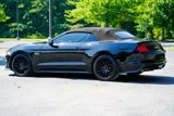 Used 2020 Ford Mustang GT Premium w/ GT Performance Package image 4