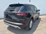 New 2025 Ford Escape Active w/ Cold Weather Package image 5