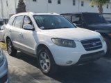 Used 2008 Hyundai Santa Fe SE image 2
