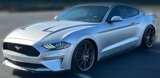Used 2019 Ford Mustang Coupe w/ Ecoboost Performance Package image 3