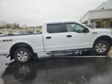 Used 2015 Ford F150 XLT image 4