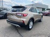 Certified 2020 Ford Escape SE image 4