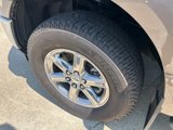 Used 2019 Ford F150 XLT w/ Equipment Group 302A Luxury image 4