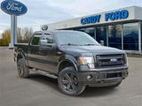 Used 2013 Ford F150 FX4 image 1