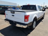 Used 2016 Ford F150 XLT w/ Equipment Group 302A Luxury image 4