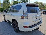 Certified 2020 Lexus GX 460 Premium image 4