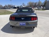 Used 2017 Ford Mustang Premium image 5