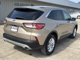 Used 2021 Ford Escape SE image 3
