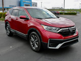 Used 2020 Honda CR-V EX-L image 4