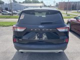 Used 2020 Ford Escape SE image 2