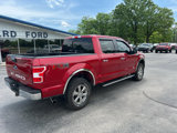 Used 2020 Ford F150 XLT w/ Equipment Group 302A Luxury image 5