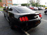 Used 2016 Ford Mustang Coupe w/ Ecoboost Performance Package image 3