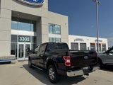 Used 2019 Ford F150 XLT w/ Equipment Group 302A Luxury image 3