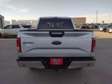 Used 2017 Ford F150 XLT w/ Equipment Group 302A Luxury image 6