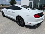 Used 2023 Ford Mustang Premium image 3