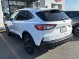 Used 2022 Ford Escape SE w/ SE Sport Appearance Package image 4