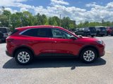 Used 2023 Ford Escape Active w/ Tech Pack #1 image 6