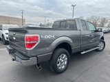 Used 2013 Ford F150 XLT w/ Luxury Equipment Group image 4
