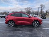 New 2025 Ford Escape ST-Line Elite w/ Premium Technology Package image 6