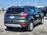 Used 2017 Ford Escape SE w/ SE Leather Comfort Package image 5