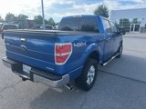 Used 2014 Ford F150 XLT w/ XLT Chrome Package image 5