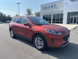 Used 2020 Ford Escape SE image 2