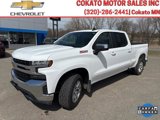 Used 2020 Chevrolet Silverado 1500 LT w/ All-Star Edition image 3