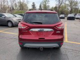 Used 2013 Ford Escape SEL image 6