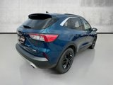 Used 2020 Ford Escape SE image 5