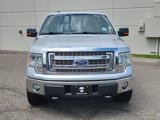 Used 2014 Ford F150 XLT w/ Equipment Group 302A Luxury image 2