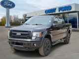 Used 2013 Ford F150 FX4 image 2