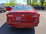 Used 2019 Honda Accord EX-L image 5