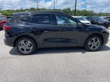 Used 2024 Ford Escape ST-Line w/ Tech Pack #1 image 3