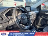 Used 2021 Ford Escape SE w/ SE Sport Appearance Package image 2