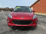 Used 2022 Ford Escape SEL w/ SEL Stealth AWD Package image 3