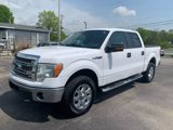 Used 2014 Ford F150 XLT w/ Equipment Group 302A Luxury image 3