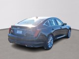 New 2025 Cadillac CT5 Premium Luxury image 4