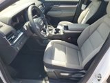 New 2025 GMC Terrain Elevation image 5