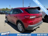 Used 2020 Ford Escape SE image 4
