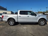 Certified 2016 Ford F150 XLT w/ Equipment Group 302A Luxury image 4