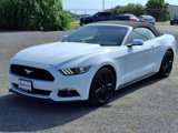 Used 2015 Ford Mustang Premium w/ Ecoboost Performance Package image 4