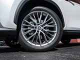 Used 2024 Lexus NX 350 AWD w/ Luxury Package image 5