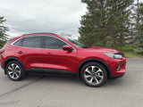 Used 2023 Ford Escape Platinum image 5
