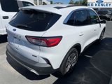 Used 2021 Ford Escape SEL image 4