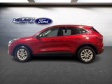 Used 2022 Ford Escape SE w/ Convenience Package image 3
