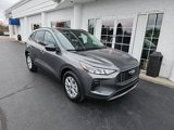New 2025 Ford Escape Active w/ Cold Weather Package image 2