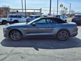 Used 2022 Ford Mustang Premium image 4
