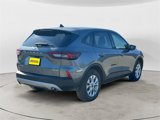 Used 2025 Ford Escape Active w/ Cold Weather Package image 5